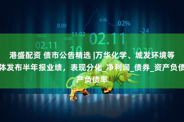 港盛配资 债市公告精选 |万华化学、城发环境等主体发布半年报业绩，表现分化_净利润_债券_资产负债率